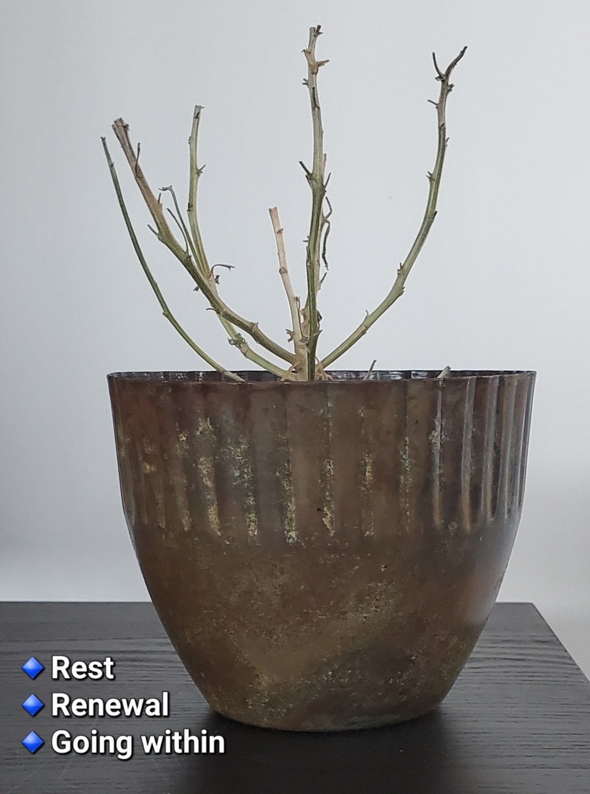 Winter Reflections: How to Go Within for Inner&nbsp;Growth